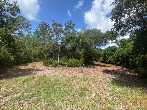 0 N Circle Cir E, Paisley, FL 32767