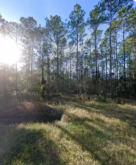 9930 Crotty Ave, Hastings, FL 32145