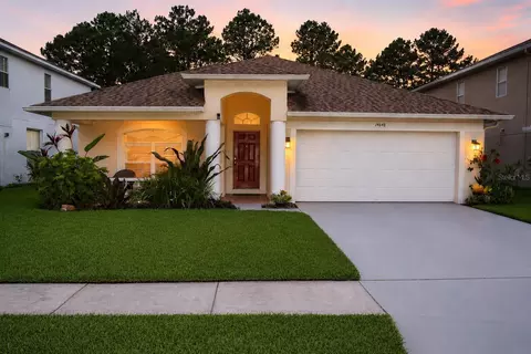 14648 Corkwood Dr, Tampa, FL 33626