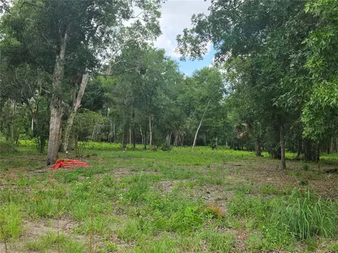 180 Oak Dr, Osteen, FL 32764