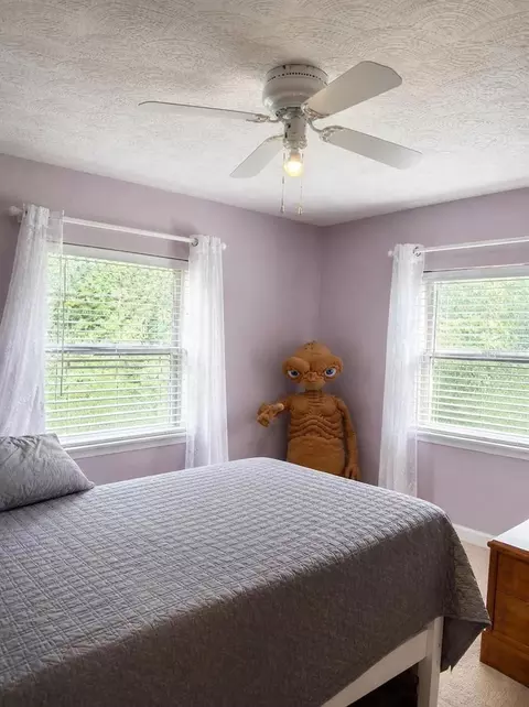 Bedroom - 37 Pine St, Eustis, FL 32726 photo 2 of 2
