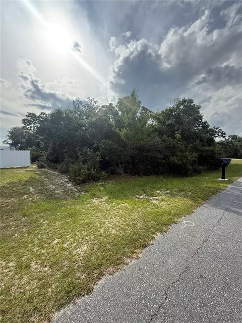 tbd SW 161st Loop, Ocala, FL 34473 photo 2