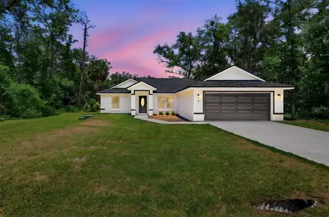 3 Sequoia Drive Trce, Ocklawaha, FL 32179