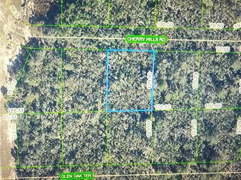 2917 Cherry Hills Rd, Sebring, FL 33875