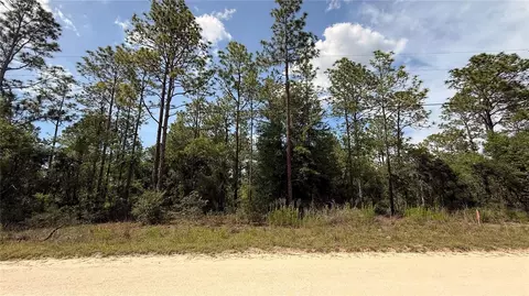 Undetermined, Dunnellon, FL 34432