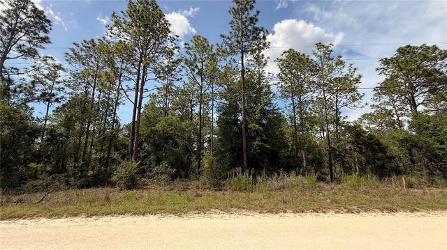 Undetermined, Dunnellon, FL 34432
