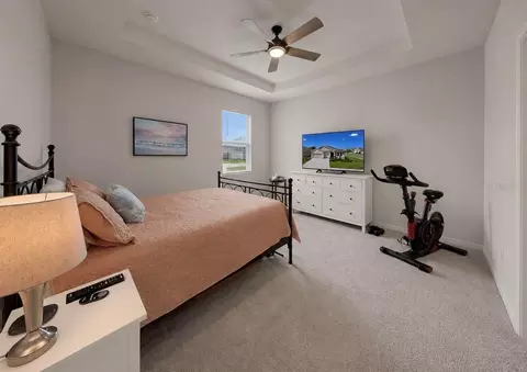 Bedroom - 11043 Tamarack Pl, Parrish, FL 34219 photo 4 of 4