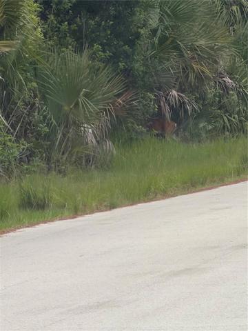 tbd SW 129th Loop, Ocala, FL 34473