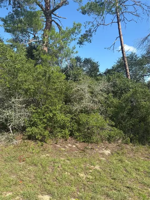 16698 SW 21st Cir, Ocala, FL 34473