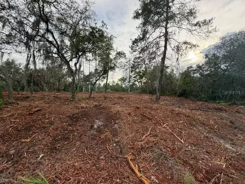Sequoia Trail, Ocklawaha, FL 32179
