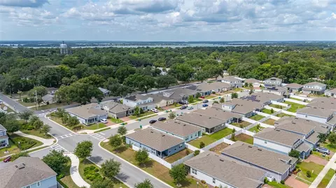 View/Area - 367 August Fern Loop, Mount Dora, FL 32757 photo 5 of 23