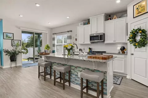 Kitchen - 367 August Fern Loop, Mount Dora, FL 32757 photo 2 of 7