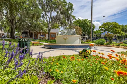 View/Area - 367 August Fern Loop, Mount Dora, FL 32757 photo 9 of 23