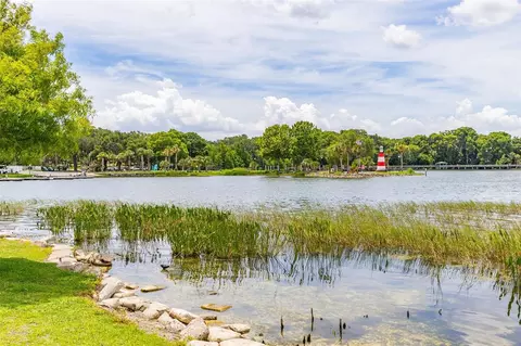 View/Area - 367 August Fern Loop, Mount Dora, FL 32757 photo 12 of 23
