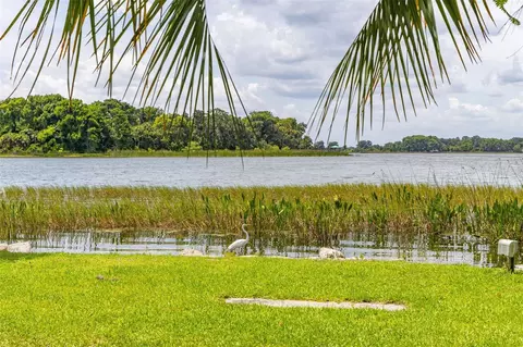 View/Area - 367 August Fern Loop, Mount Dora, FL 32757 photo 10 of 23