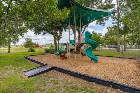 View/Area - 367 August Fern Loop, Mount Dora, FL 32757 photo 6 of 23