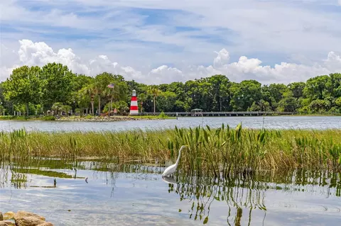 View/Area - 367 August Fern Loop, Mount Dora, FL 32757 photo 11 of 23