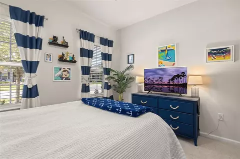 Bedroom - 367 August Fern Loop, Mount Dora, FL 32757 photo 6 of 6