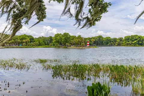 View/Area - 367 August Fern Loop, Mount Dora, FL 32757 photo 14 of 23