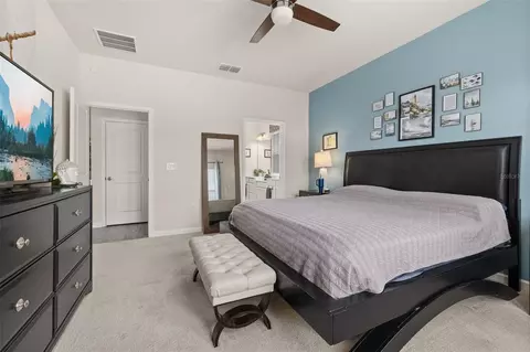 Bedroom - 367 August Fern Loop, Mount Dora, FL 32757 photo 3 of 6