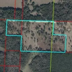NE 172nd Court, Williston, FL 32696