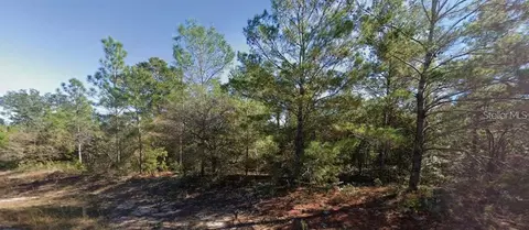 Colmart Drive, Chipley, FL 32428 photo 2