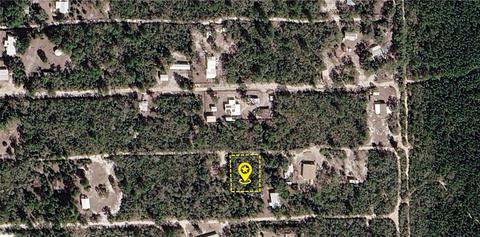 Nn NE 234th Lane, Fort Mc Coy, FL 32134