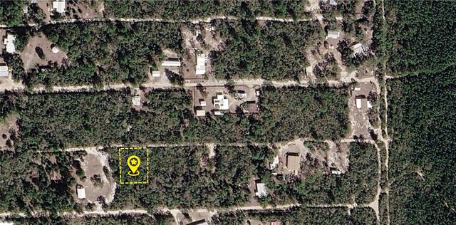 X NE 234th Lane, Fort Mc Coy, FL 32134
