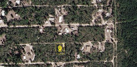 Nnn NE 234th Lane, Fort Mc Coy, FL 32134