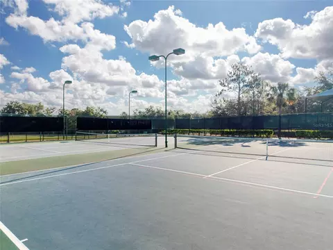 View/Area - 4841 Havilland Dr, Mount Dora, FL 32757 photo 11 of 13