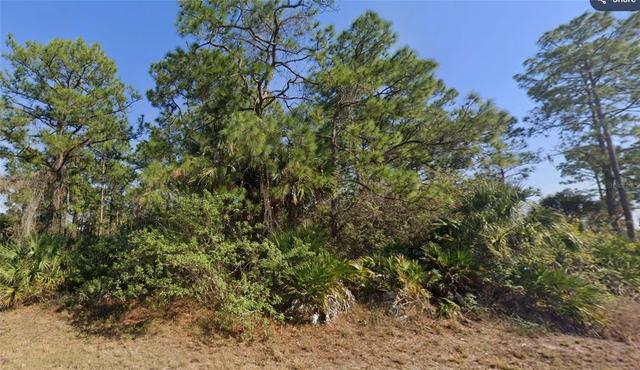 1002 Silverfish Dr, Labelle, FL 33935