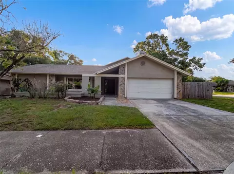 37 Osprey St, Safety Harbor, FL 34695