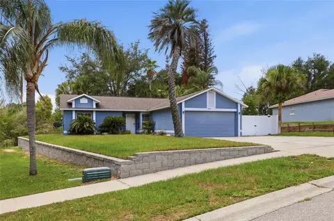 10641 Lake Ralph Dr, Clermont, FL 34711