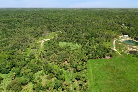 Canvasback Trail, Geneva, FL 32732 photo 15