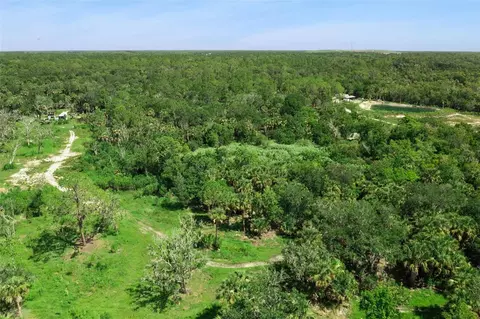 Canvasback Trail, Geneva, FL 32732 photo 9