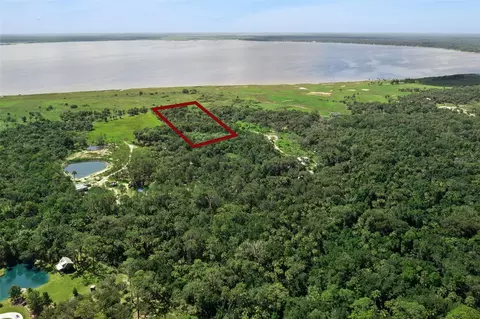 Canvasback Trail, Geneva, FL 32732 photo 3