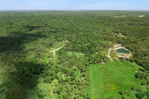 Canvasback Trail, Geneva, FL 32732 photo 6