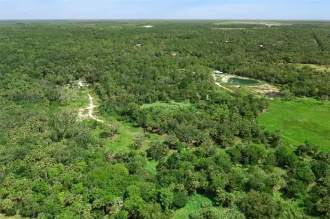 Canvasback Trail, Geneva, FL 32732 photo 5