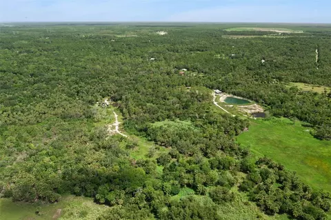 Canvasback Trail, Geneva, FL 32732 photo 7
