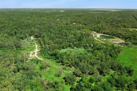 Canvasback Trail, Geneva, FL 32732 photo 16