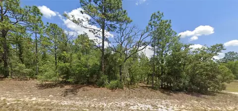 9857 N Lathyrus Ter, Dunnellon, FL 34433
