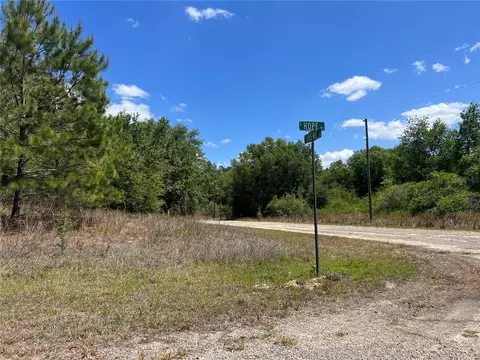 689 E Hope Pl, Dunnellon, FL 34434