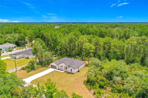 View/Area - 41334 Persimmon St, Eustis, FL 32736 photo 3 of 9