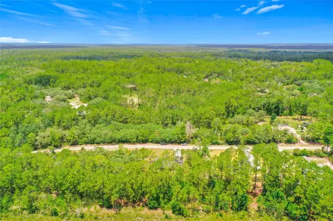 View/Area - 41334 Persimmon St, Eustis, FL 32736 photo 8 of 9