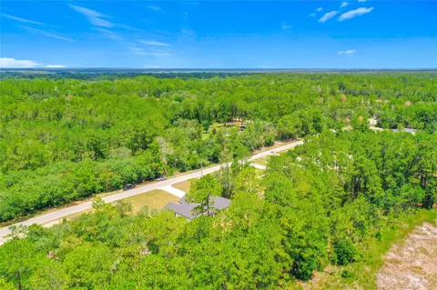 View/Area - 41334 Persimmon St, Eustis, FL 32736 photo 7 of 9
