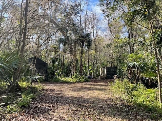 Shady Palm Cove, Oviedo, FL 32765