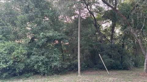 SE 11th Street, Silver Springs, FL 34488