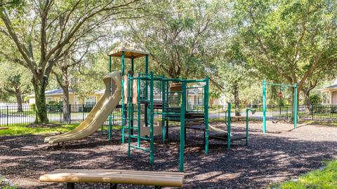 View/Area - 12912 Droxford Rd, Windermere, FL 34786 photo 9 of 9
