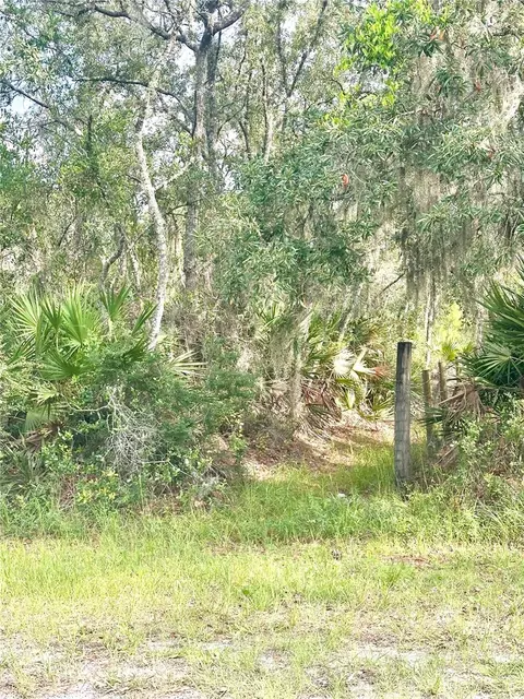 Saffron Avenue, Eustis, FL 32736 photo 4