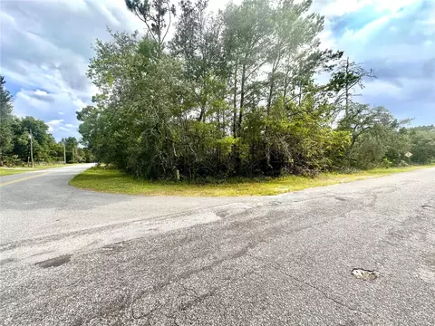 Saffron Avenue, Eustis, FL 32736 photo 3
